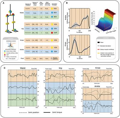 A Variable Stiffness Actuator Module With Favorable Mass Distribution for a Bio-inspired Biped Robot